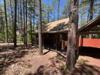 Cozy cabin in the woods!