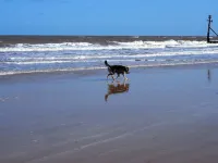 Unique space located in beautiful North NorfolkRelax or Explore from your door!