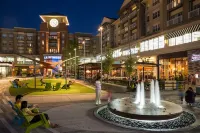 Newly Built Tiny Home/Cottage in National Landing/Arlington near DC, & Old Town