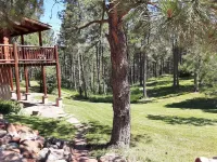 Private Lodge Black Hills Kids<10Yrs Stay Free Custer Rushmore Small Grp Rates Hotels near Iron Creek
