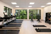 The Westin Nanea Ocean Villas, Ka'Anapali - Gym