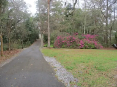 Beautiful Secluded Cottage In Old Ocean Springs Ms