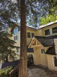 4 master insuites + tree/play house. 2 kings,5 queens, 2 twins