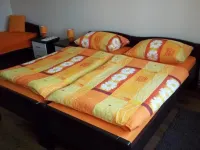 Apartment Čeliković Hotel a Gajic
