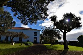 Quinta do BOM Despacho