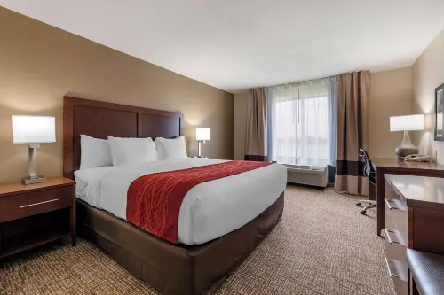 Comfort Inn & Suites - Wifi