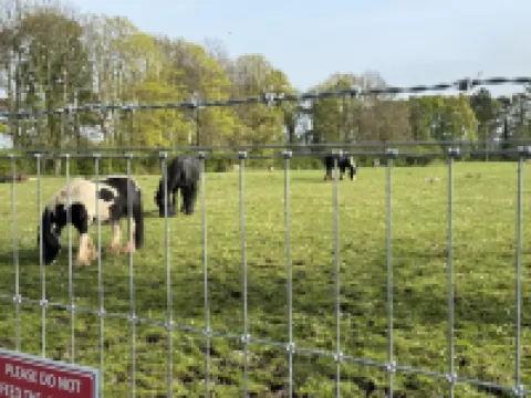 Haggerston Castle - Caravan - Sleeps 6 - Parking