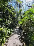 Calala Lodge Hotels in Montezuma