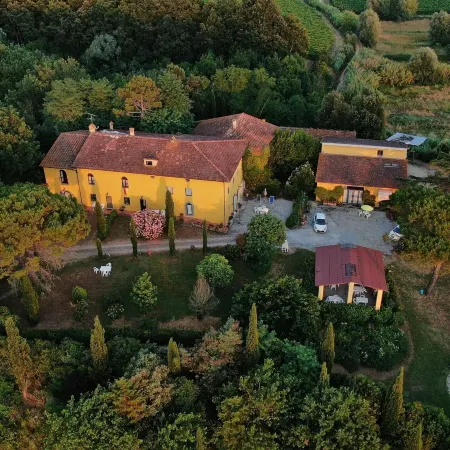 Farmhouse Living Amidst Vineyards