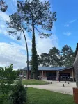 Bungalow 4-6 personnes Dunes de Contis