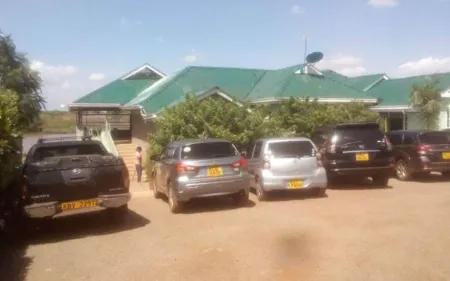 Flogarden Resort Отели в г. Руиру