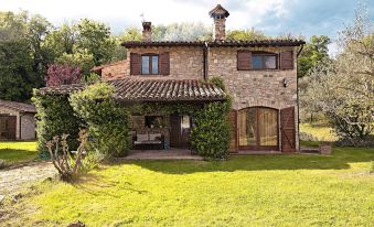 Casale Chimneys Immersed in Olive Trees