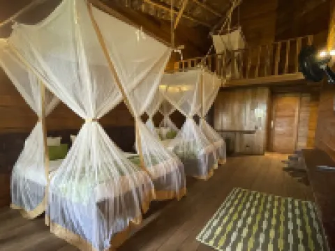 On Vacation Amazon Hotels in Leticia