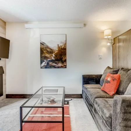 Lift House Lodge, Pet Friendly, Premium Studio Condo