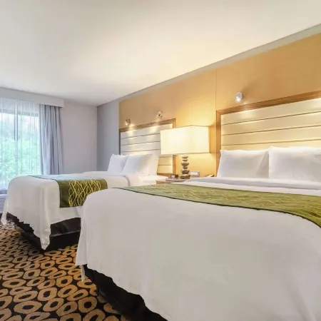 Comfort Inn Raleigh Midtown