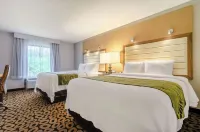 Comfort Inn Raleigh Midtown - 2-Star