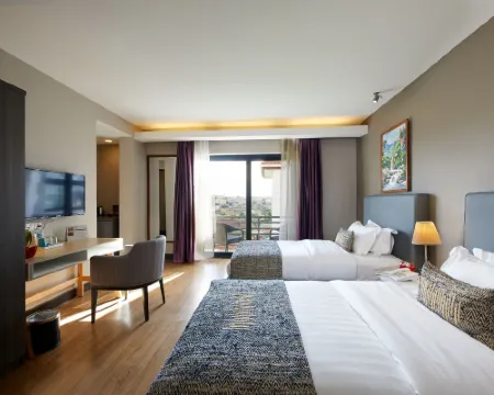 San Cristobal Boutique Hotel - Ivato Airport โรงแรมในอานตานานารีโว