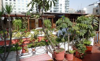 El Patio Miraflores