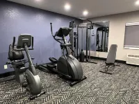 AmericInn by Wyndham Glendale/Milwaukee - Træningscentre