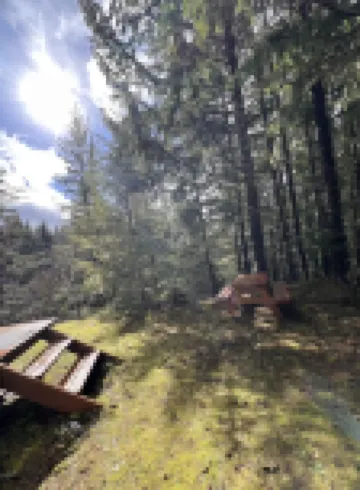 Cozy Rustic Private Packwood Cabin