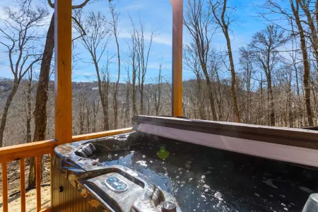 Mountain View and Hot Tub - Charming Rustic Retreat
