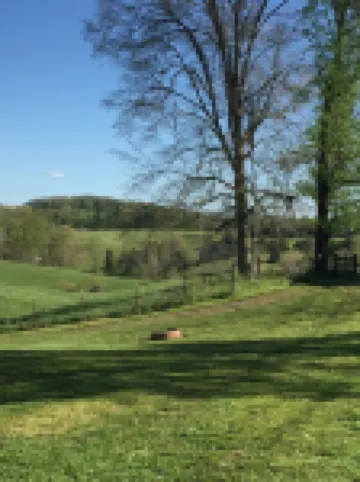 Overlooking a Slice of Heaven Near Dale Hollow Lake - Unit A - Pet Friendly