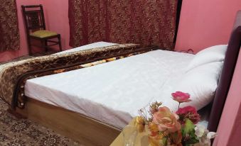 Wazeer One Hotel & Guest House Shigar