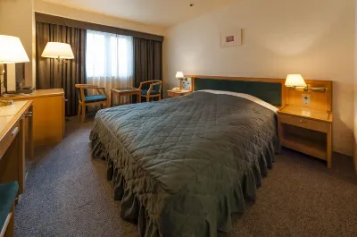 ホテルシェーナ 韓流バザール周辺のホテル