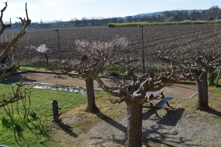 Le Nid de l'Ecureuil Отели в г. Сестероль