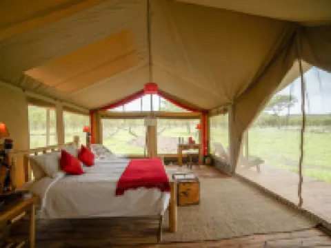 非洲亞桑加豪華酒店 塞倫蓋蒂酒店