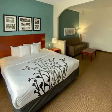 Sleep Inn & Suites Pearland - Houston South