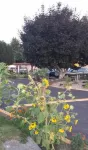 Swiss Sunset Inn - 3-Star