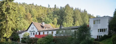 Seehaus Forelle Haeckenhaus Отели в г. Якобсвайлер