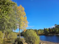 Beauly Station Hotels in Muir of Ord
