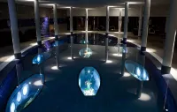 Kosta Boda Art Hotel - Pools