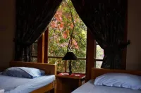 Ayun Fort Inn Hotels in Chitral