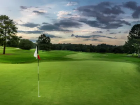 ชาตูเอลาน โรงแรมในBraselton