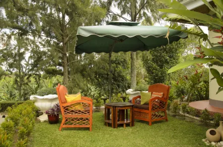 Sheevy"s Bed N Breakfast