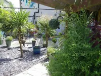 Bay Tree House -  Privatzimmer