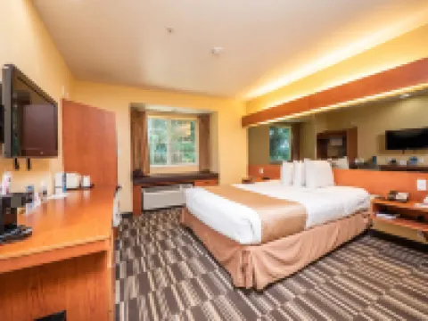 奧卡拉麥客達套房酒店 奧卡拉酒店