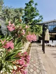 Arp Dalyan Các khách sạn ở Ekincik