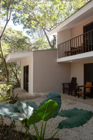 Dreamsea Surf Camp