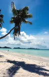 Hotel Cote d'or Lodge - Ocean View