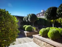 Hotel San Miguel Hotels near Pulperia