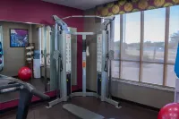阿爾特西亞舒適飯店及套房 - 健身房