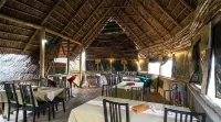Ikoma Wild Camp Hotels in Serengeti