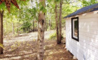 Buddha Bing Cottage and Cabins