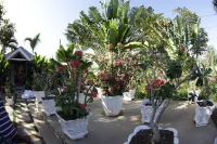 Negril Palms Hotels in 