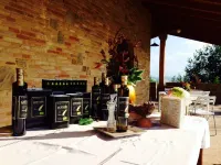 Agriturismo Il Falco Hotels in Montegranaro