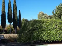 Podere Pievina Delle Corti - Dimora di Campagna Hotels in Sinalunga